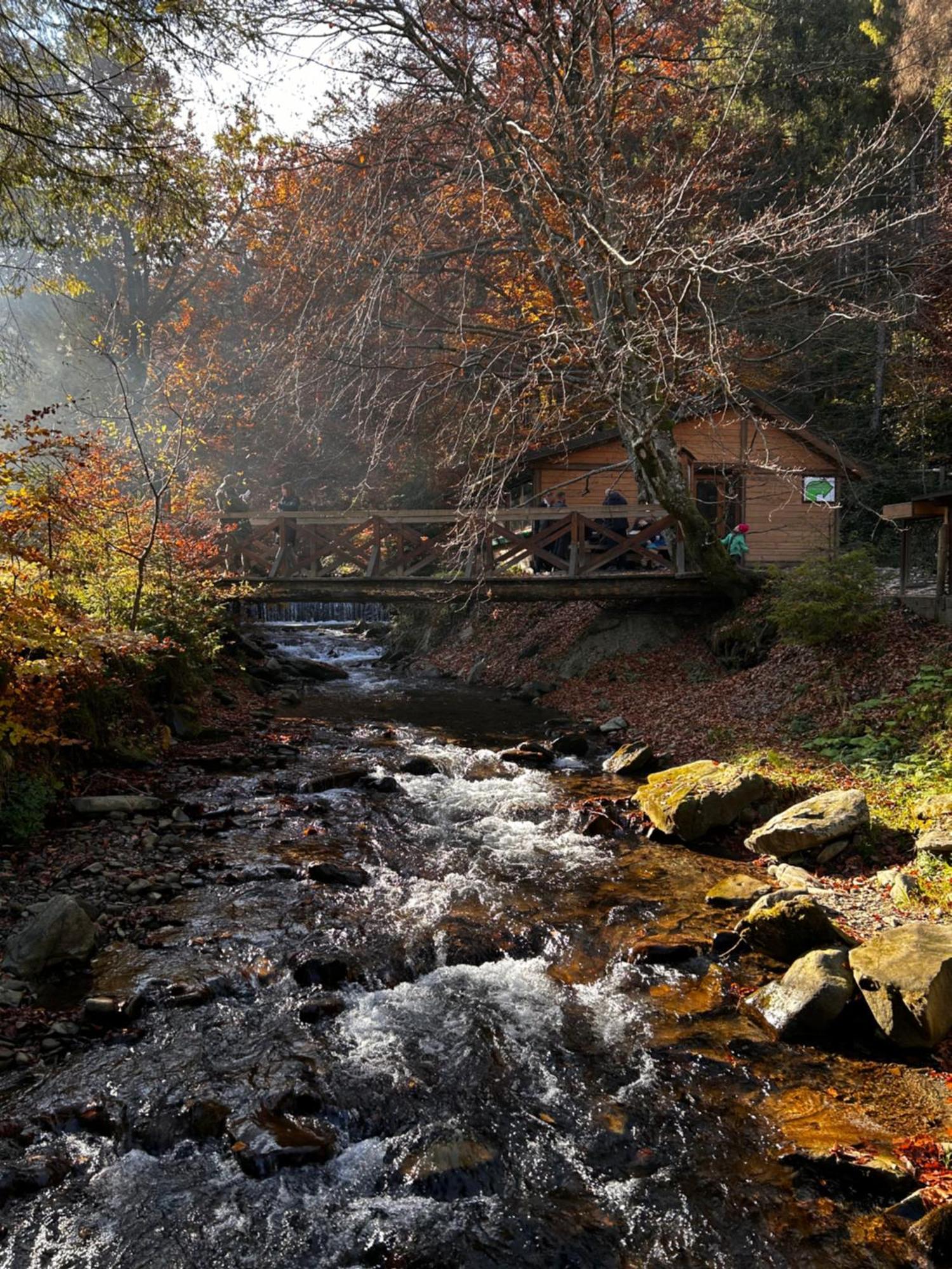 Holiday home смерекова хата *